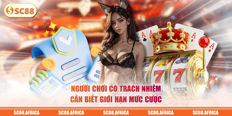 Lịch sử hoạt động của SC88 rõ ràng dễ đối chiếu